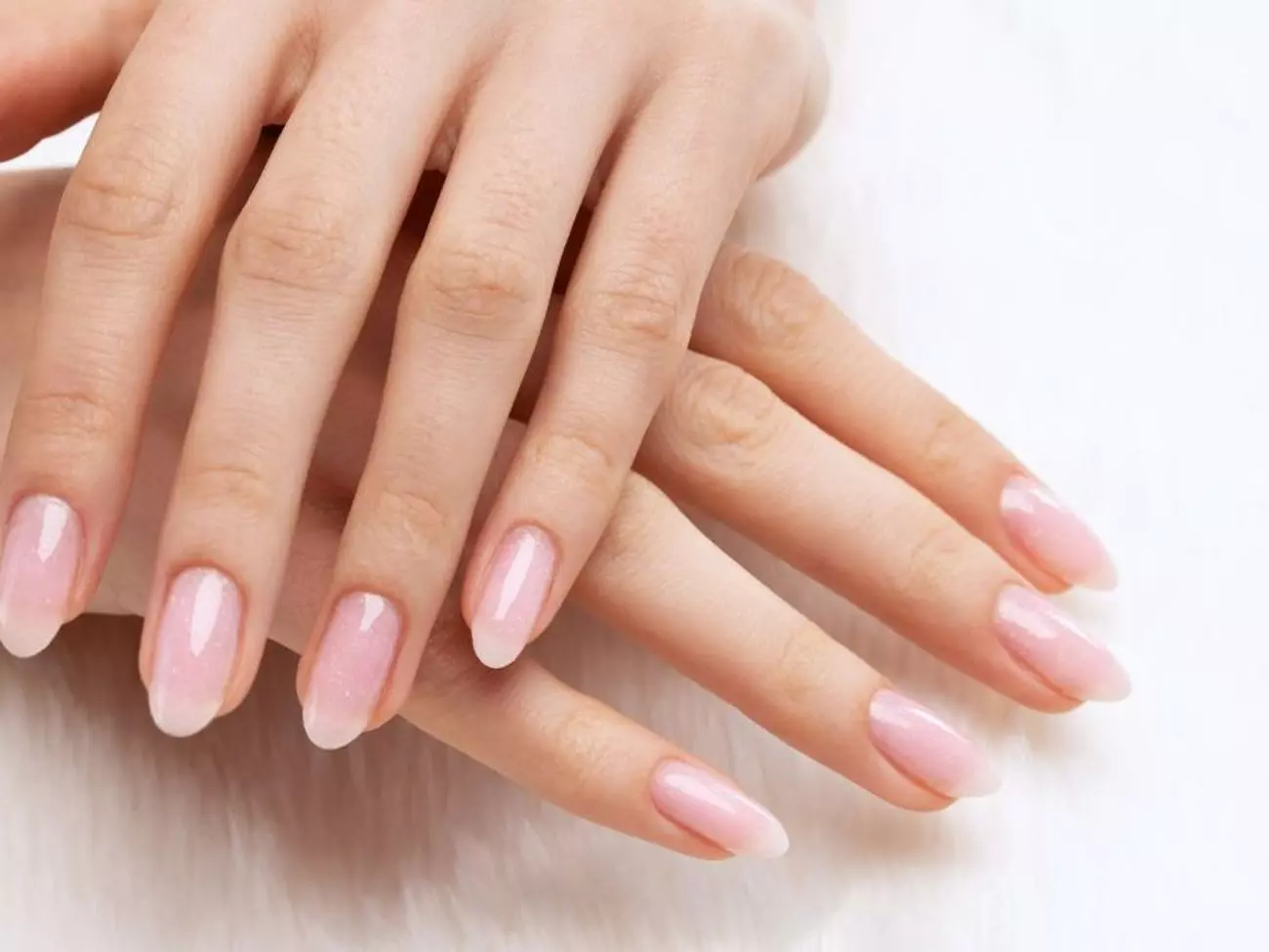 2285729_w1300h975c1cx650cy315cxt0cyt0cxb1300cyb630